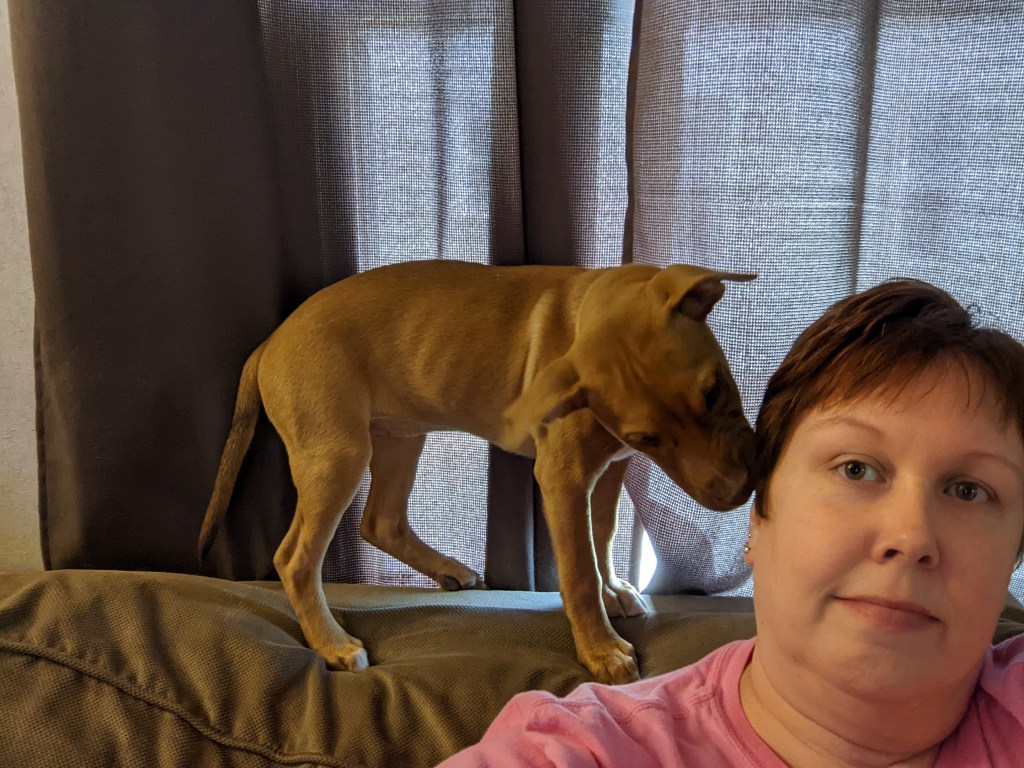 Why Agility? What’s&nbsp;Speedway?