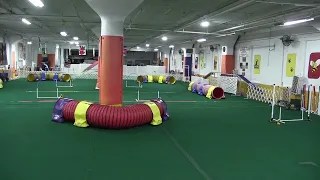 First Trial! Pitstop and&nbsp;Slingshot